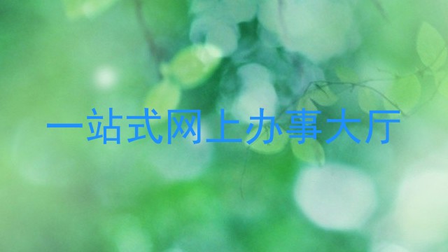 一站式网上办事大厅