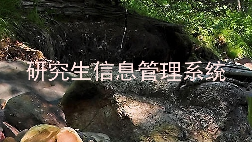 研究生信息管理系统