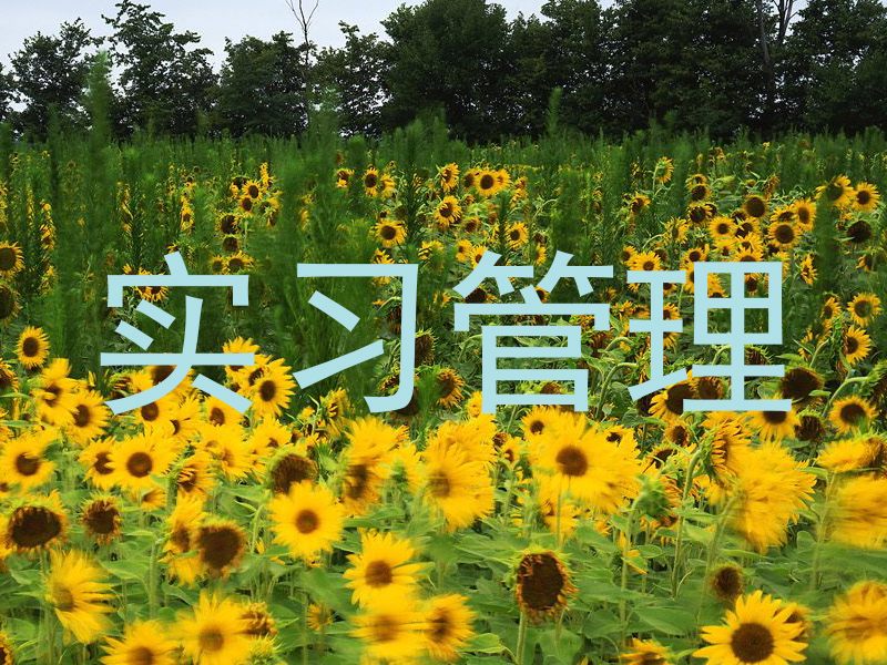 实习管理