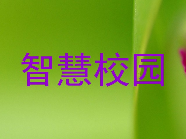 智慧校园