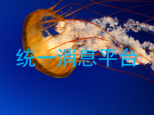 统一消息平台