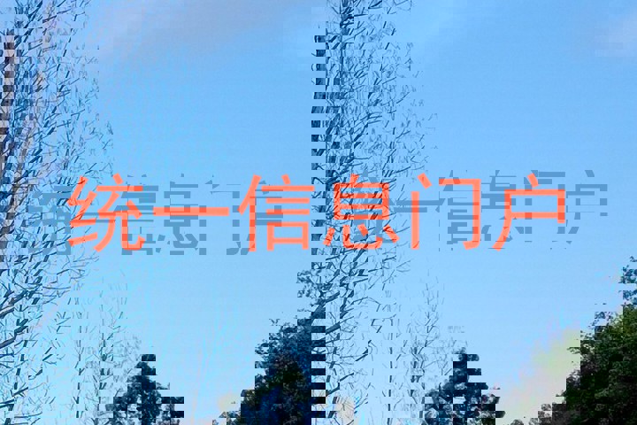 统一信息门户