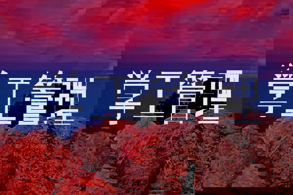 学工管理