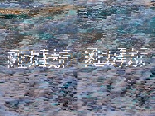 网上办事大厅