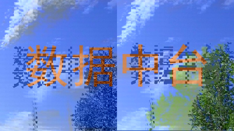 数据中台