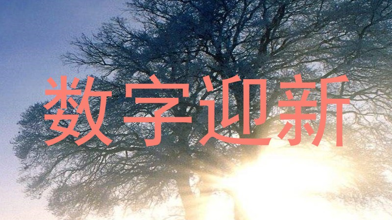 数字迎新