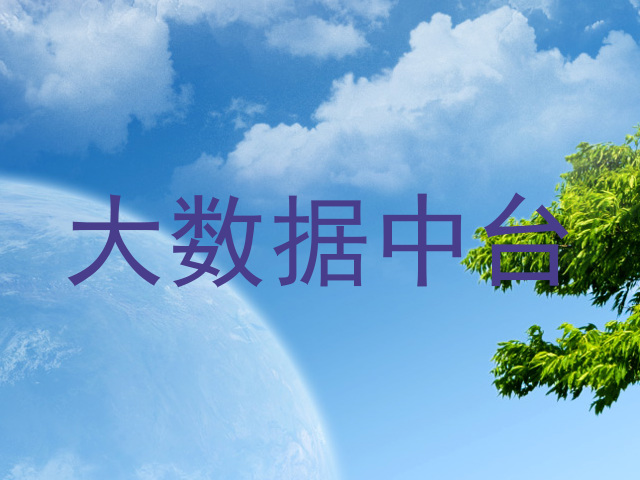 大数据中台
