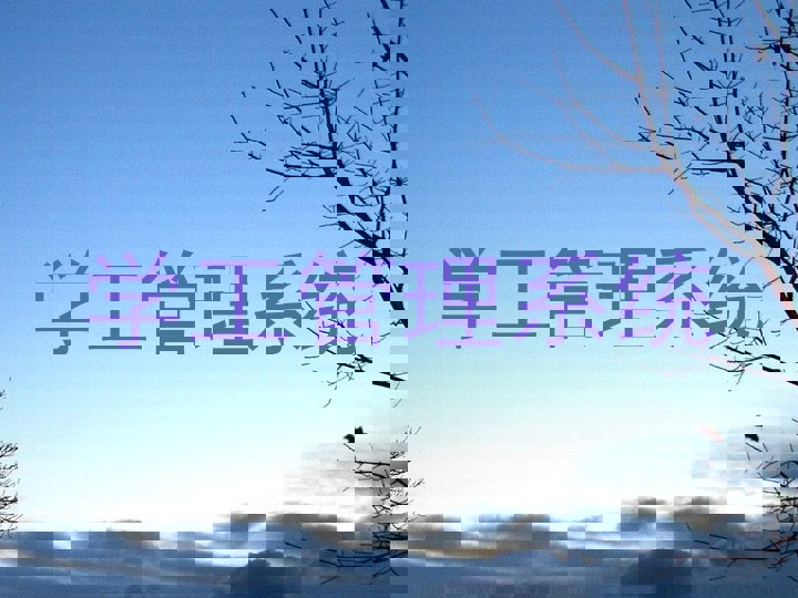 学工管理系统