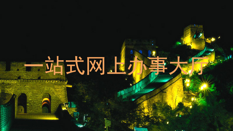 一站式网上办事大厅