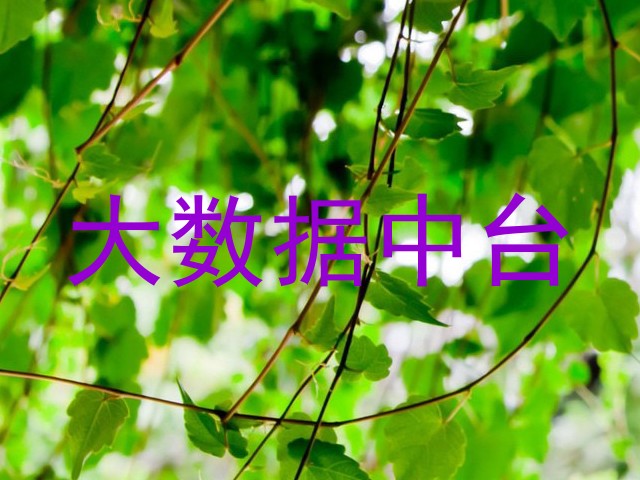 大数据中台