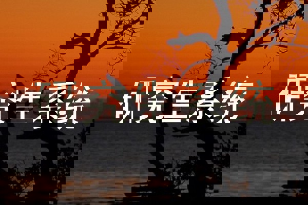 研究生系统