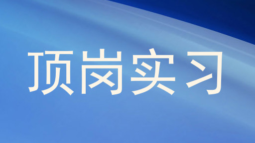 顶岗实习