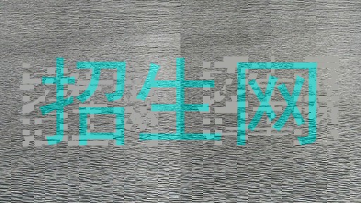 招生网
