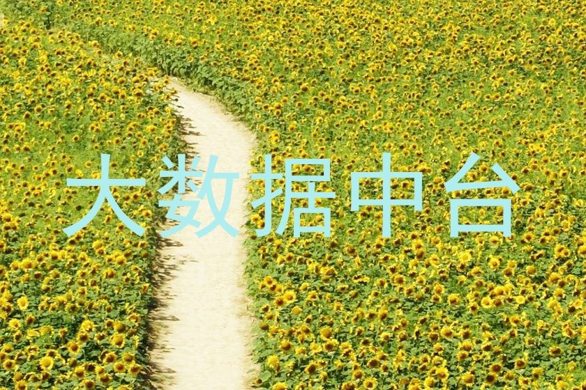 大数据中台