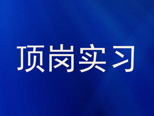 顶岗实习