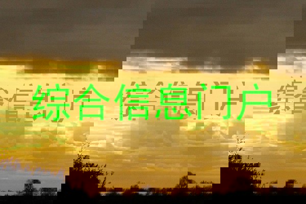 综合信息门户