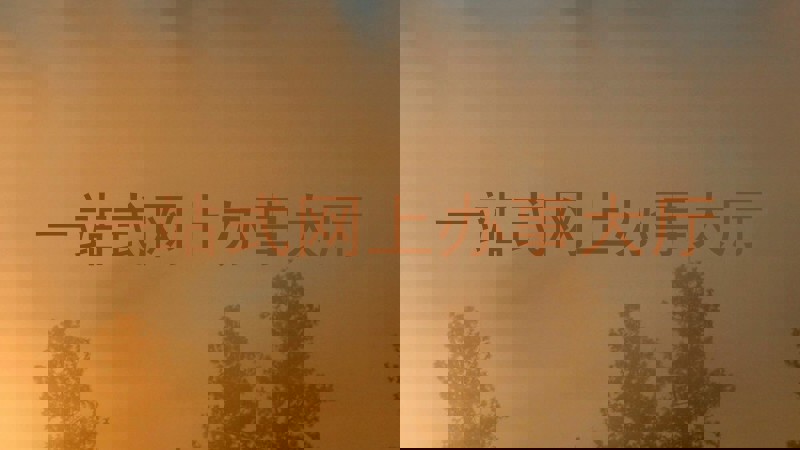 一站式网上办事大厅