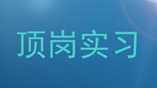 顶岗实习