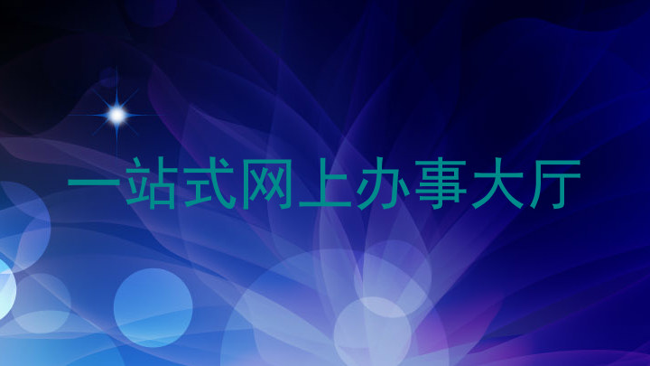 一站式网上办事大厅
