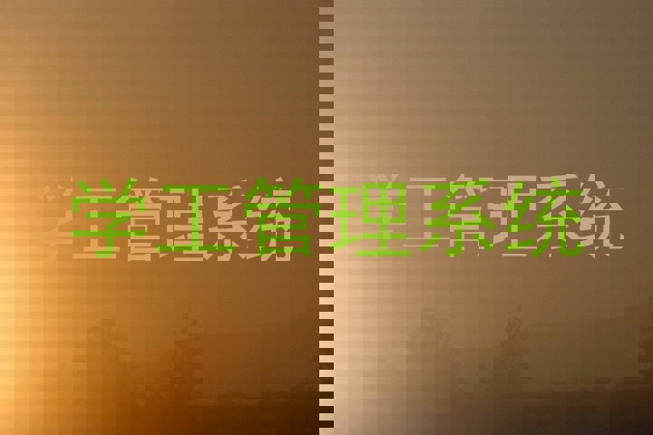 学工管理系统