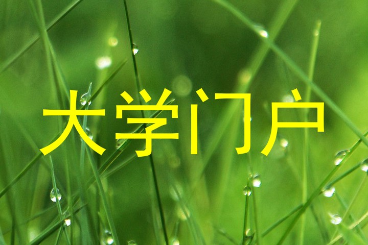 大学门户
