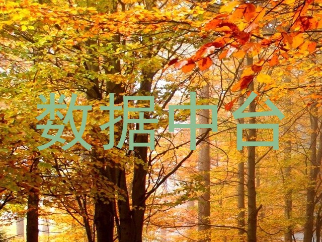 数据中台
