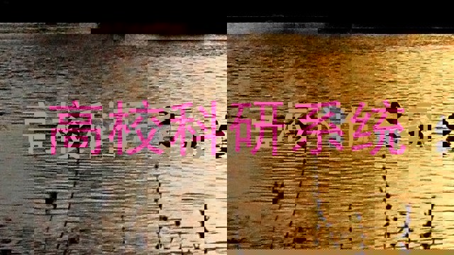 高校科研系统