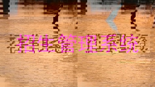 招生管理系统