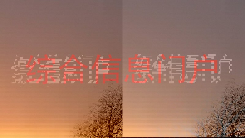 综合信息门户