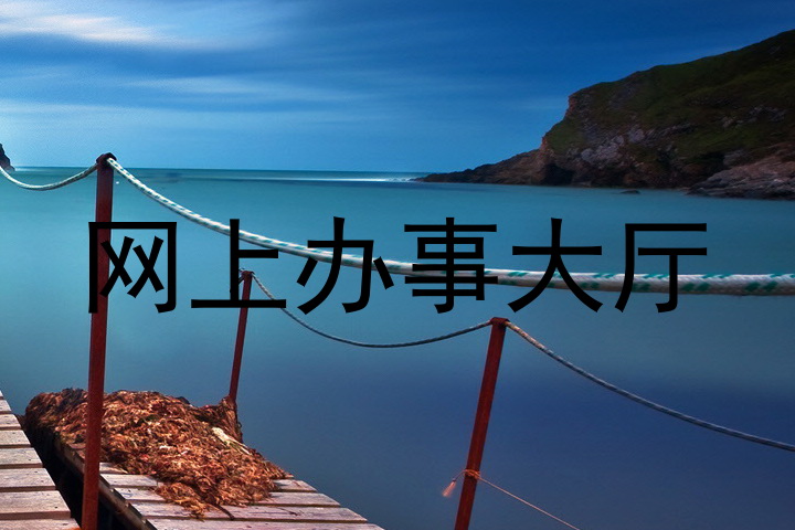 网上办事大厅