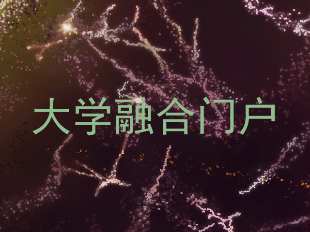 大学融合门户