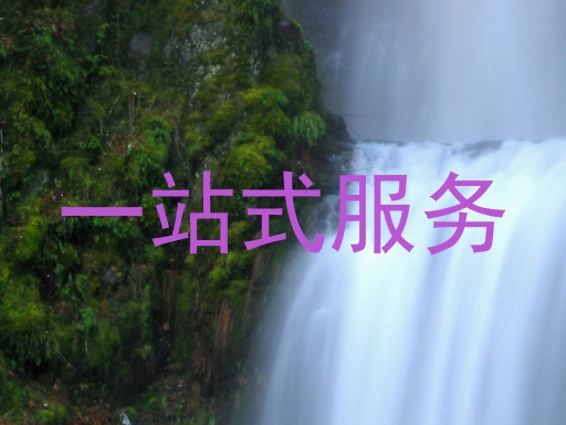 一站式服务