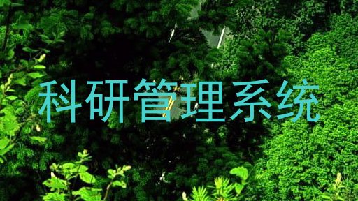 科研管理系统