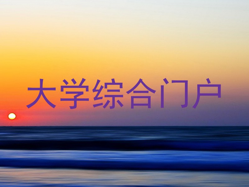 大学综合门户