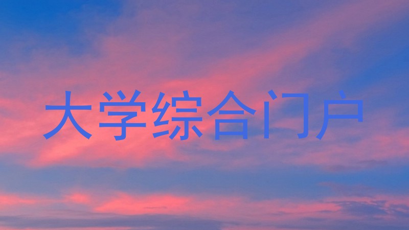 大学综合门户