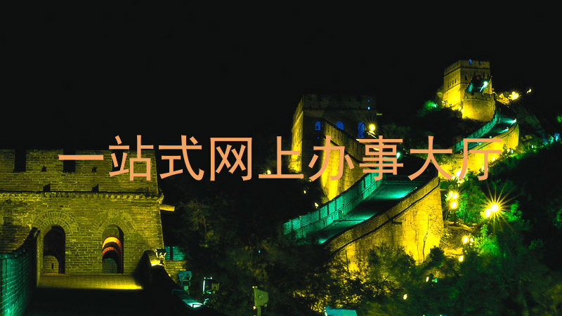 一站式网上办事大厅