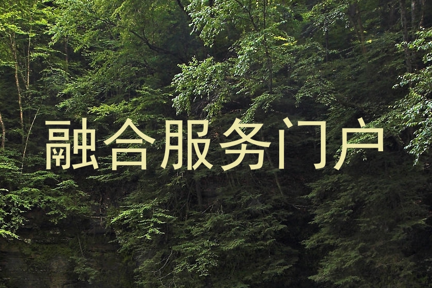 融合服务门户