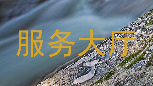 服务大厅