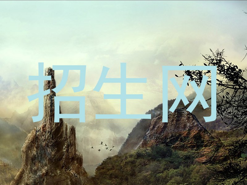 招生网