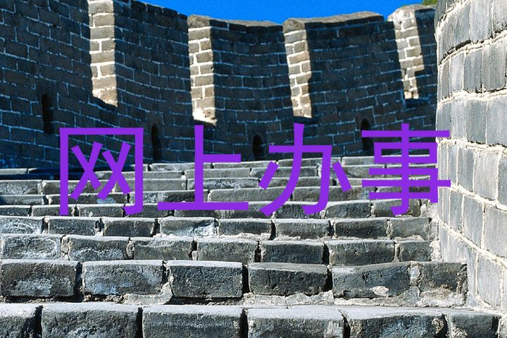 网上办事