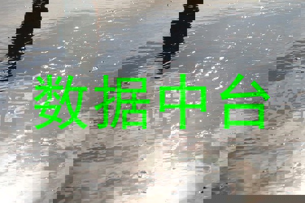 数据中台