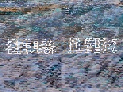 招生管理系统