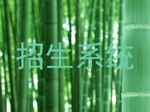 招生系统