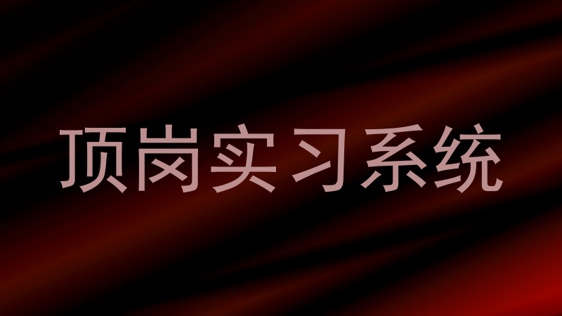 顶岗实习系统