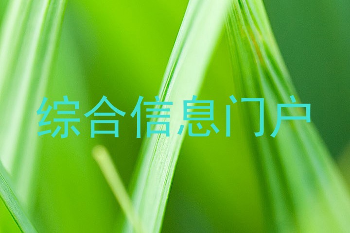综合信息门户