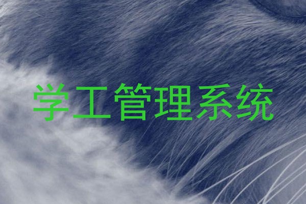 学工管理系统