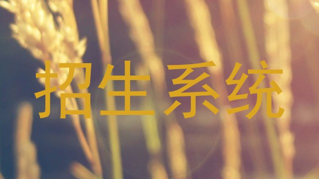 招生系统