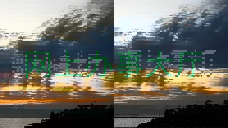 网上办事大厅