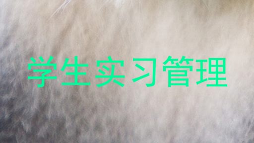 学生实习管理