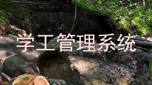 学工管理系统